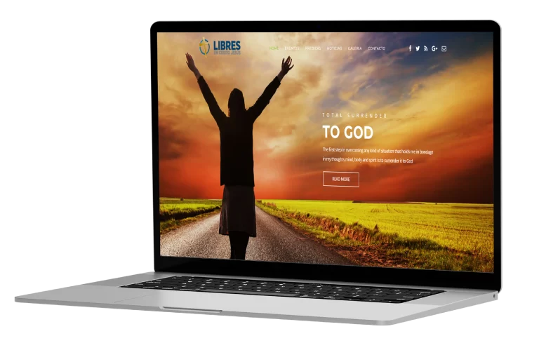 Paginas WEB Profesionales-02