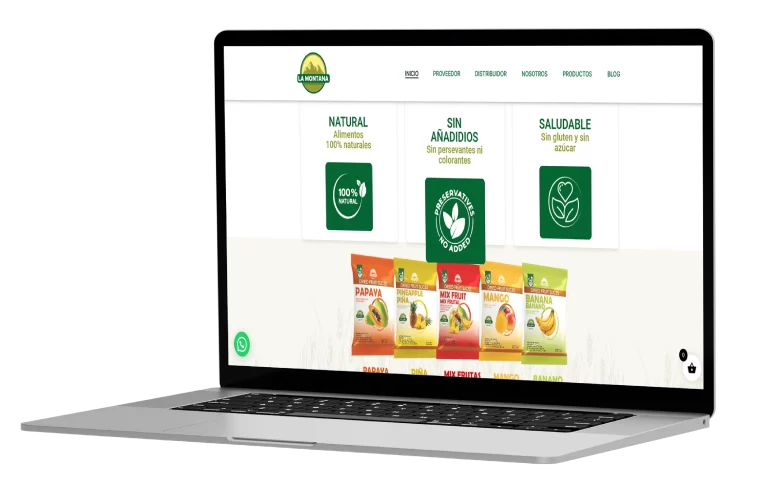 Paginas WEB Profesionales-04